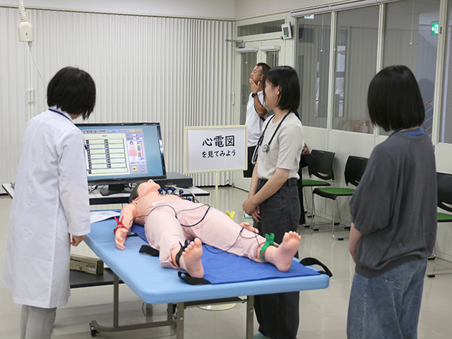 薬学部