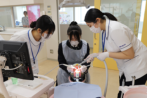 口腔保健学科 (2)